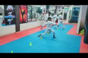 Cobra Karate Centre kids in action. karate-Do Is The Way Of Life